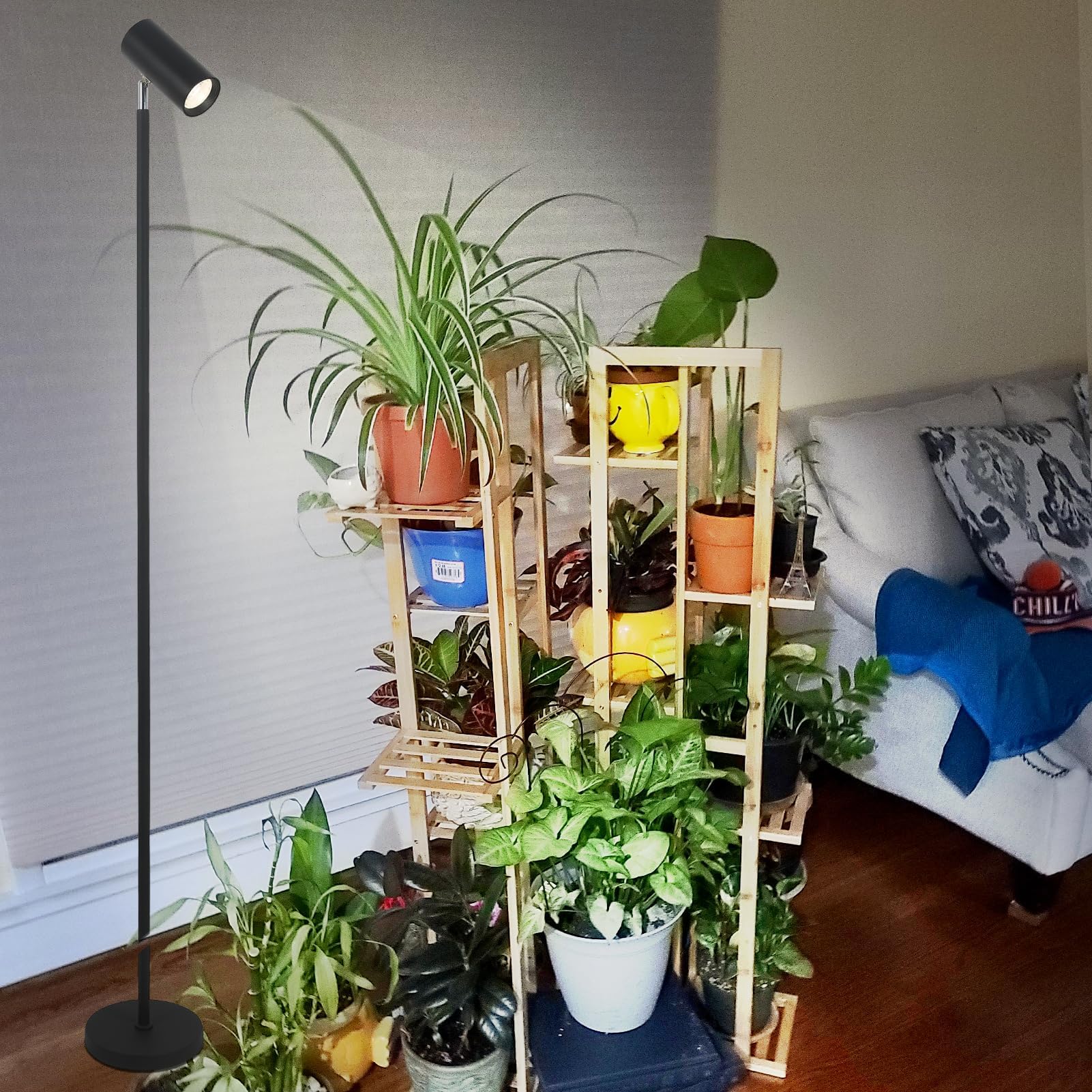 Rayofly Pflanzenlampe LED Vollspektrum, 20W Pflanzenlicht für Zimmerpflanzen, Höhenverstellbare Wachstumslampe mit Zeitschaltuhr 4/8/12H und COB Pflanzen-Glühbirne, Stand Grow Light für Große Pflanze