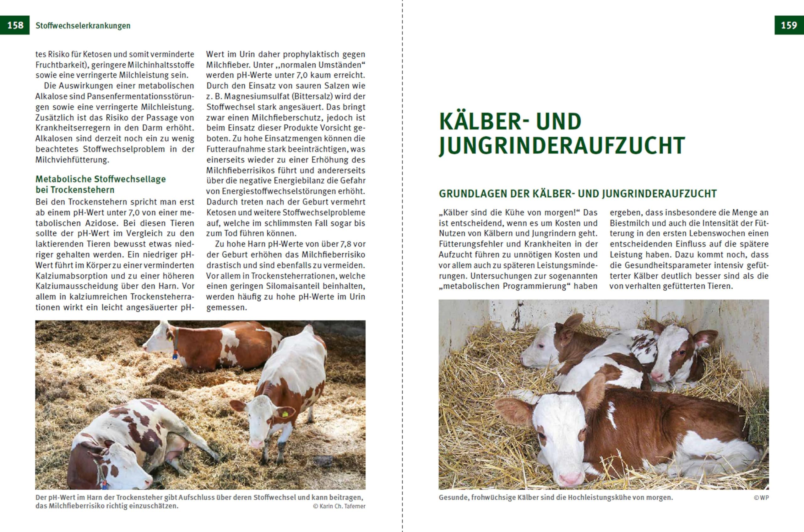 Fruchtbare Kühe - Gesunde Kälber: Management und Fütterung als Basis der leistungsbereiten Milchviehherde
