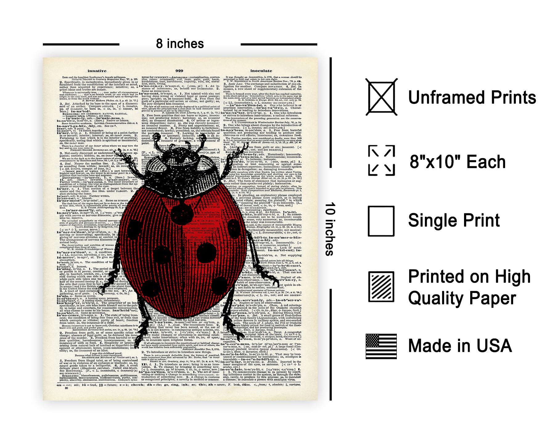Amazon.co.jp: Poster Master Dictionary アートポスター レトロ