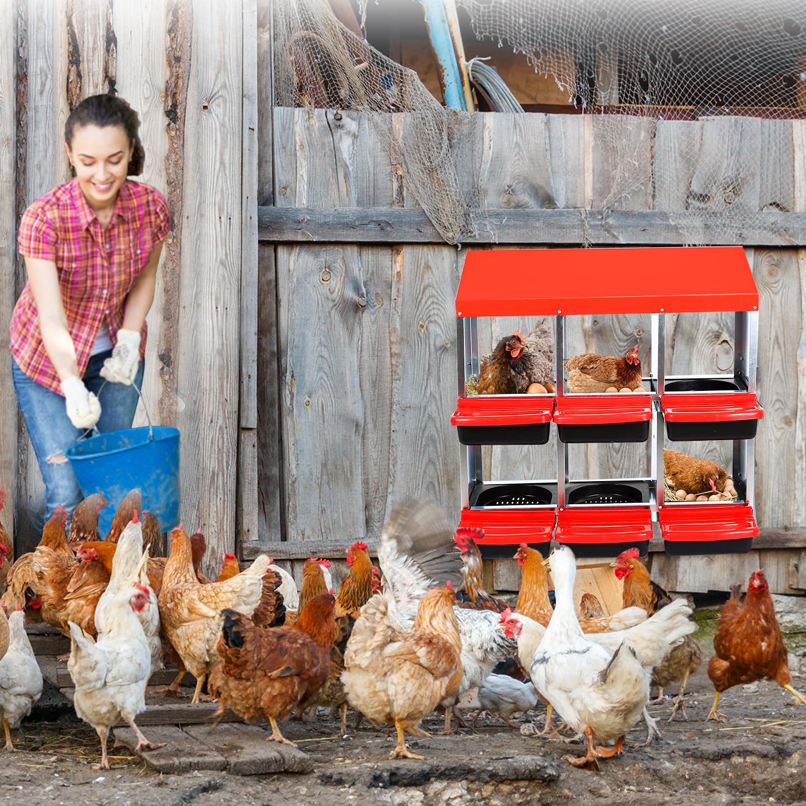Robusto Nido Imetallo Galline Ovaiole 6 Scomparti Acciaio Zincato Coperchio Bloccabile Design Arrotolabile Ventilazione, Vassoio Rimovibile Facile Pulizia Deposizione Sicura Delle Uova Pollai