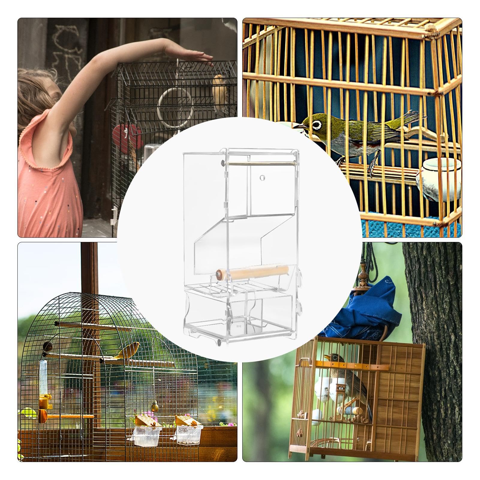 Comedero Automático Para Aves HADAVAKA – Acrílico Transparente Antiderrames Para Periquitos Y Agapornis (Fijación Con Tornillos)