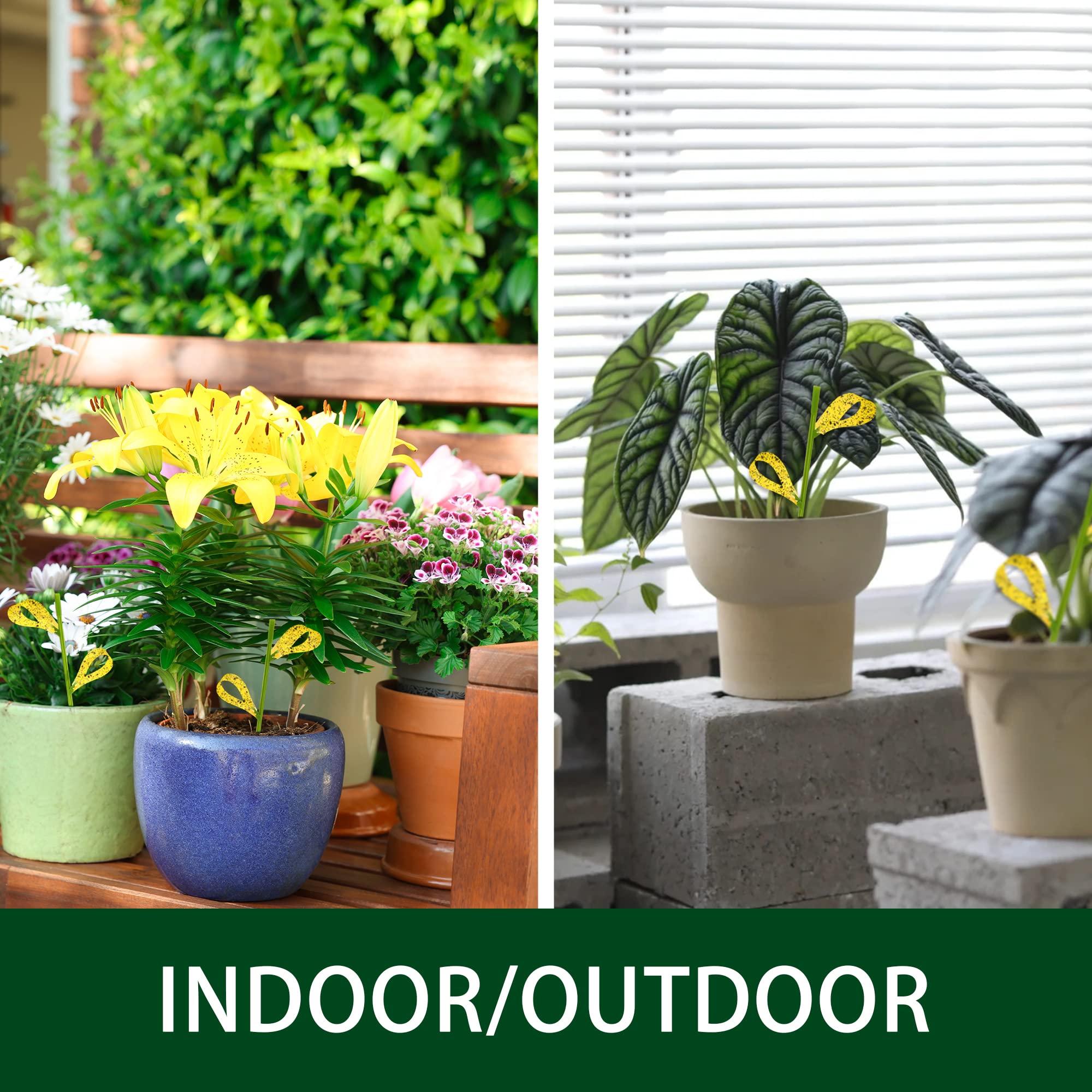 90 trampas adhesivas amarillas para interiores y exteriores, para plantas, hongos, mosquitos, moscas blancas, moscas de la fruta, pulgones. Soportes de estaca incluidos de doble cara
