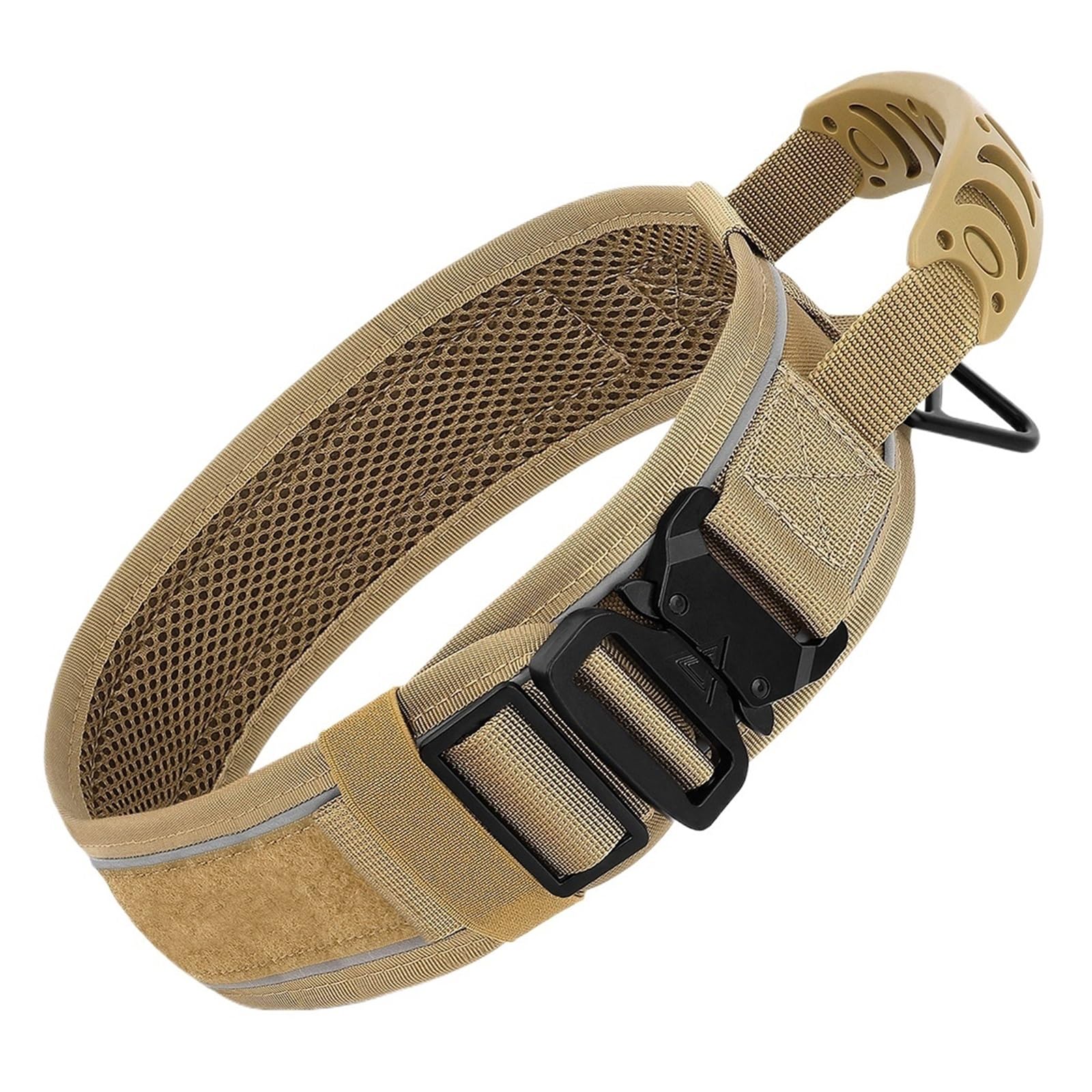 Laisse en nylon réglable et collier résistant pour grand chien en formation