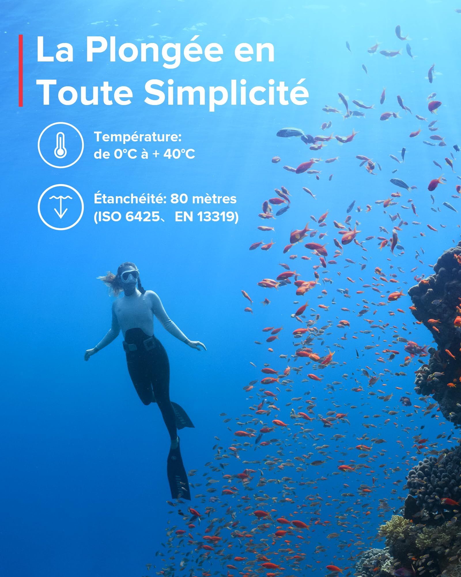 SUUNTO Dive Zoop Novo Montre de Plongée Numérique avec Grand Écran Rétroéclairé, Étanche à 80 m, Ordinateur sous-Marine avec Fonctions de Réveil, Météo, 1.5 Ans d'Autonomie en Mode Subaquatique