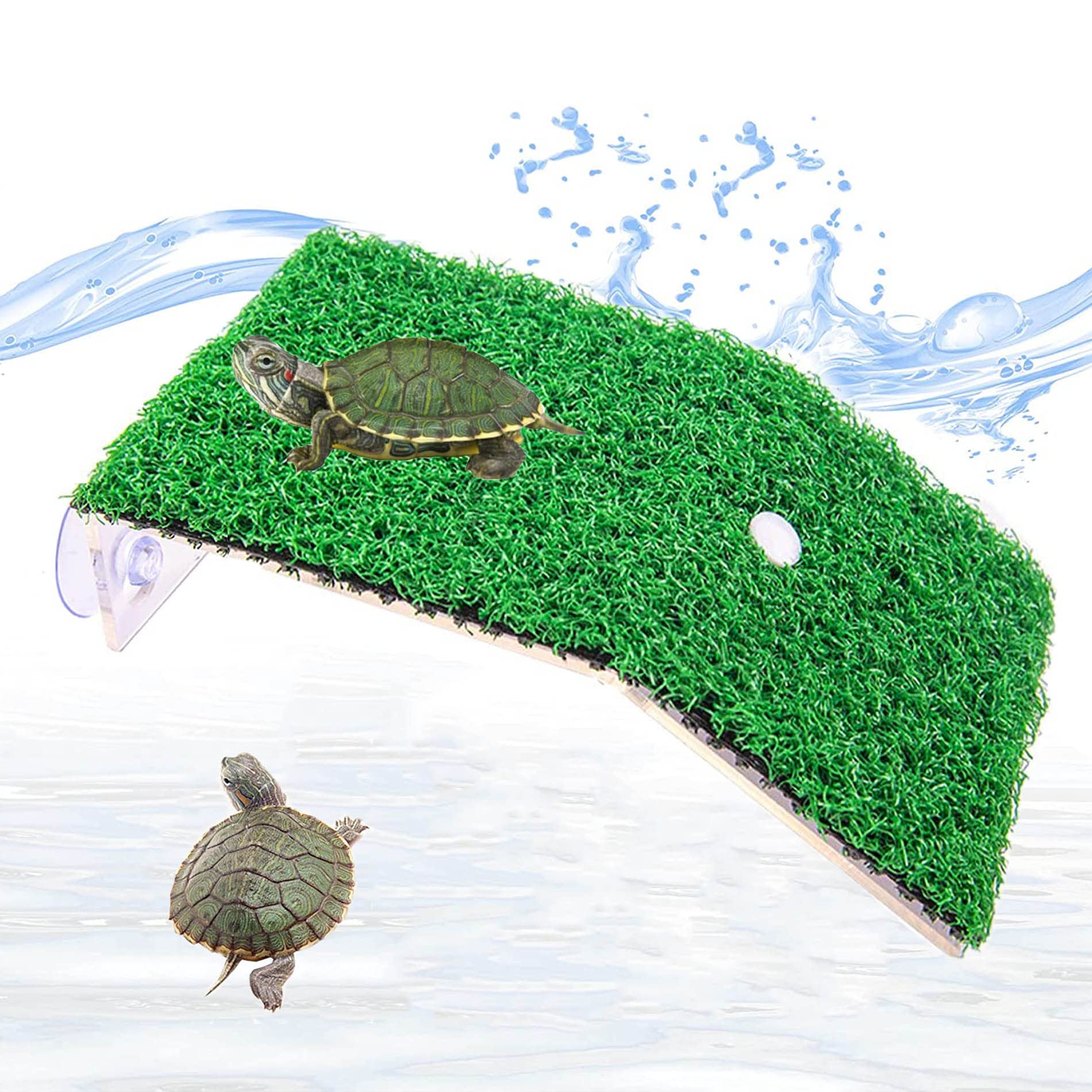 Schildkrötenbecken Mit Filter – Naturnaher Lebensraum Für Wasserschildkröten, Inkl. Sonnenplatz