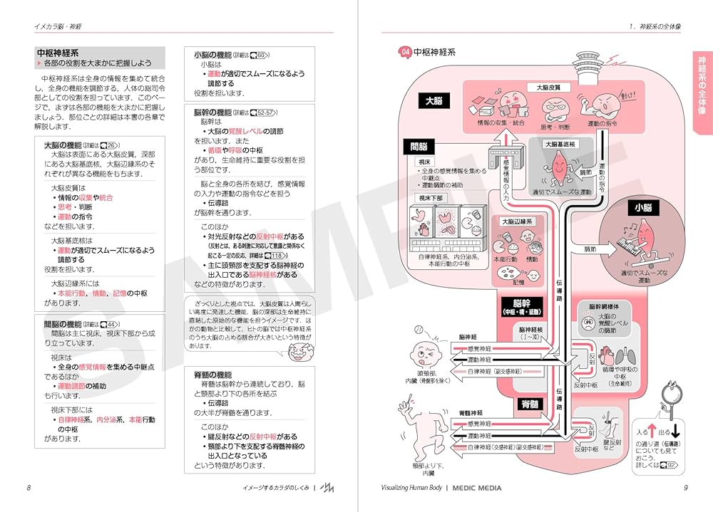 イメカラ ～イメージするカラダのしくみ～ 脳・神経 第1版