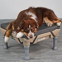Vista 6 de Blue-9 Pet Products Restore - Cama para perro, duradera, resistente al agua y lavable, diseño cuadrado de 24 pulgadas