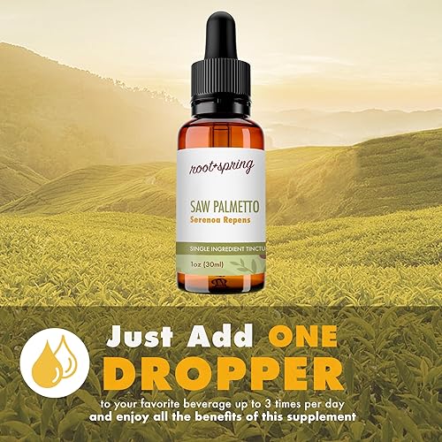 Miniatura 3 de Saw Palmetto Berry - Serenoa Repens - Tintura de hierbas (extracto líquido) - Concentrado con cuentagotas - Sabal Serrulate Berries Natural Hierba