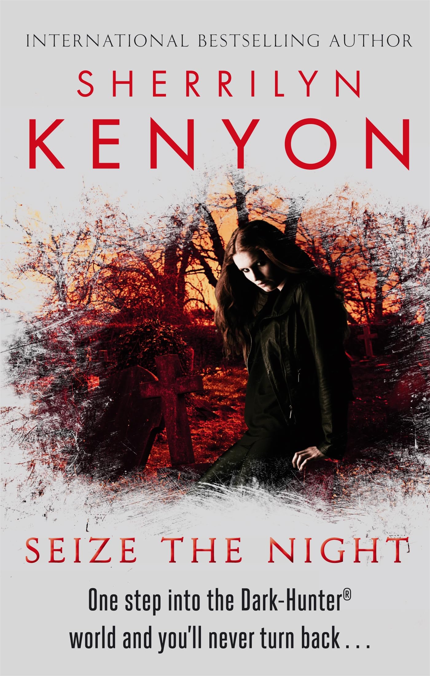 Seize The Night DarkHunter World The DarkHunter  by Sherrilyn Kenyon PAPERBACK
