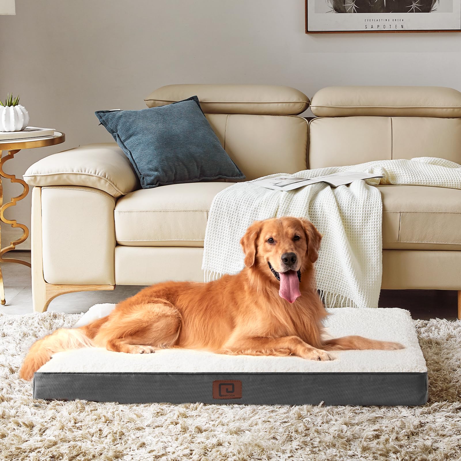 EHEYCIGA Cuccia Cane Interno Taglia Grande XL, (104L x 69W cm) Ortopedica Cuscino per Cani, Cuscino Cane Sfoderabile e Lavabile, Ortopedico Lettino per Cani, Orthopedic Dog Bed, Bianco
