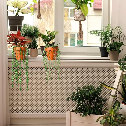 Miniatura 6 de 2 atrapasoles de cristal para colgar en la ventana, campanillas de viento con cuentas, plantas suculentas, plantas verdes, campanillas de viento