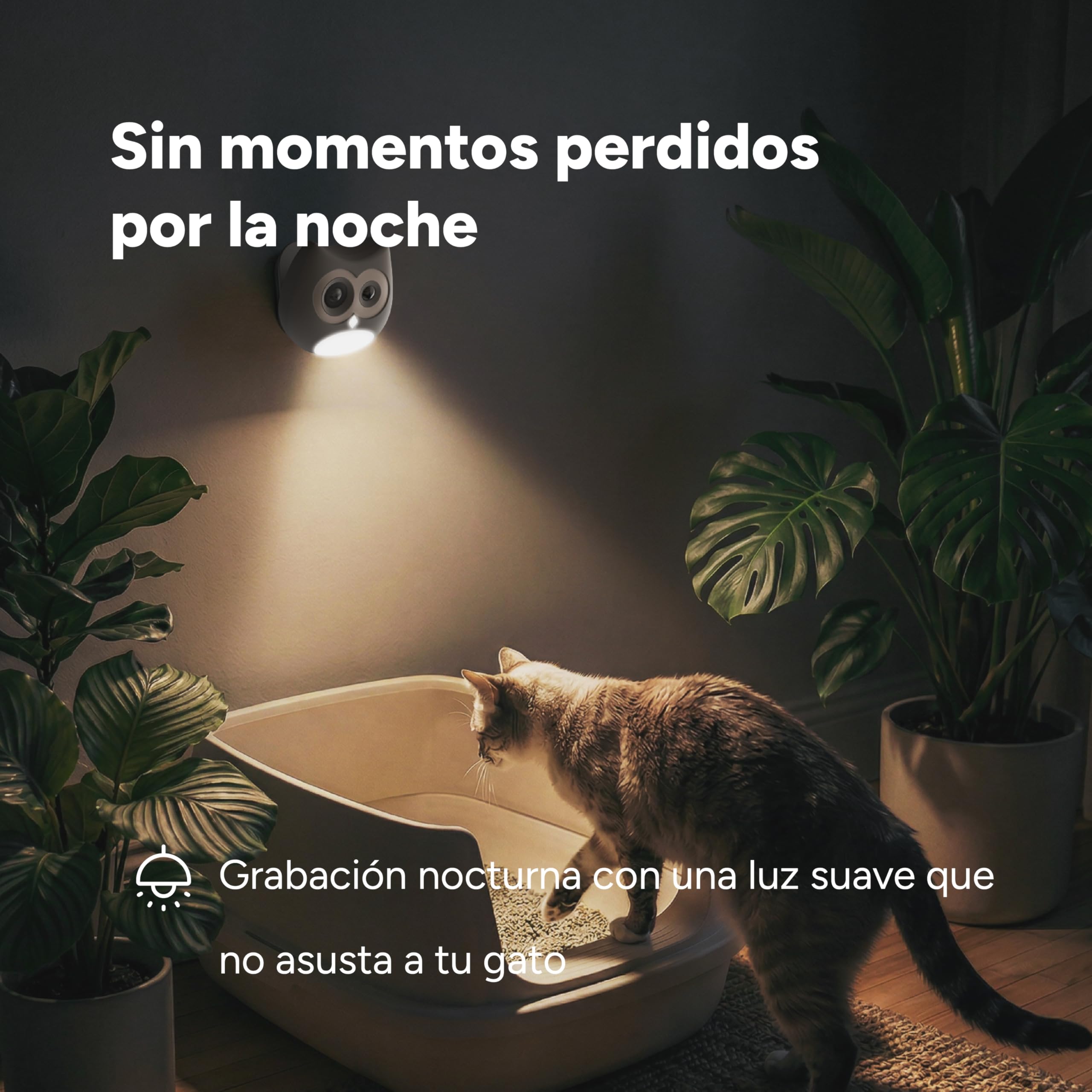 LitterLens Cámara para Arenero con App, Monitorización de Salud con IA y Alertas, Seguimiento de Orina y Heces, Reconocimiento Multi Gato, Compatible con Todo Tipo de Areneros (Rosa)