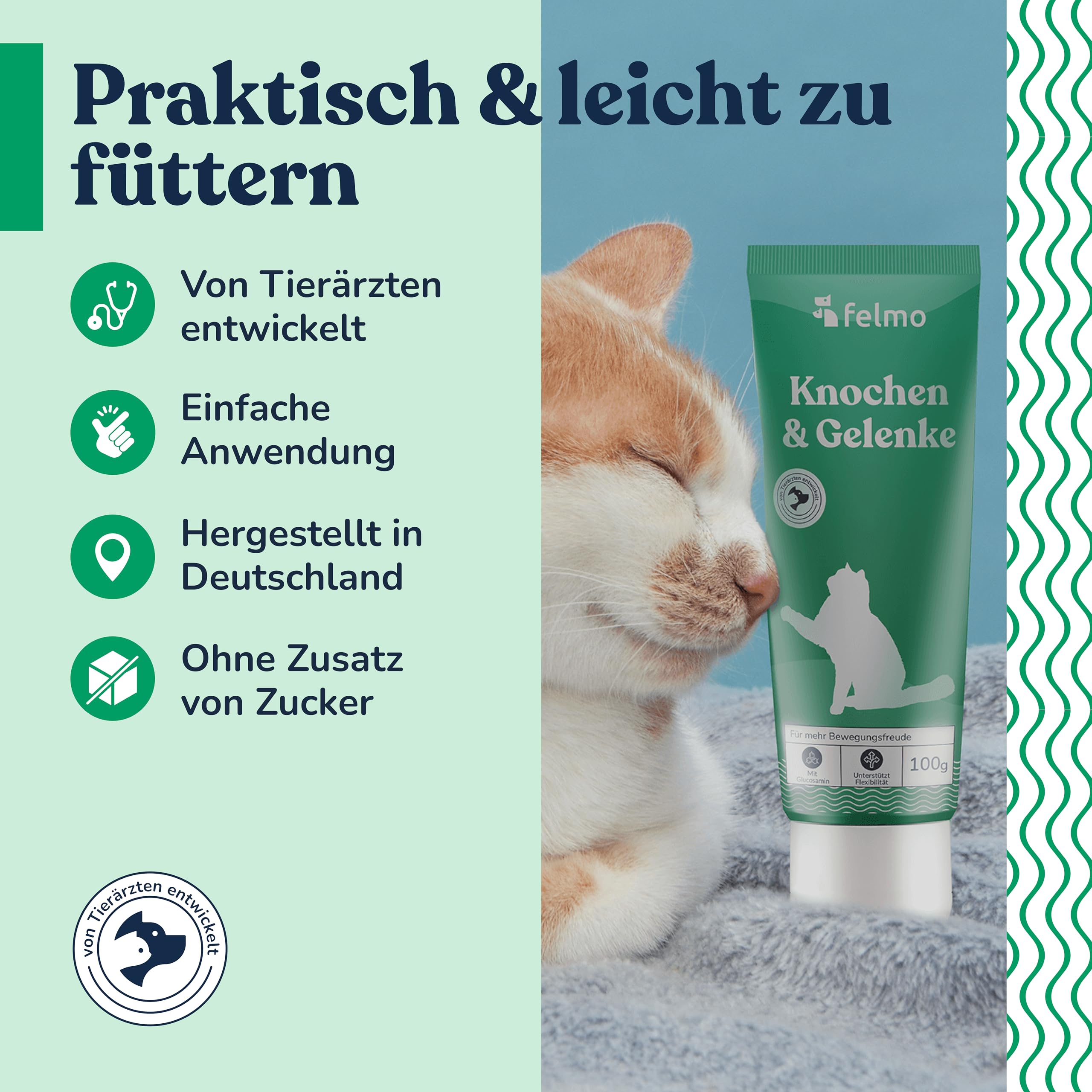 felmo La pâte osseuse et articulaire pour chats (100 g) favorise la flexibilité et favorise la liberté de mouvement de votre chat grâce à des composants actifs hautement dosés sans sucre ajouté