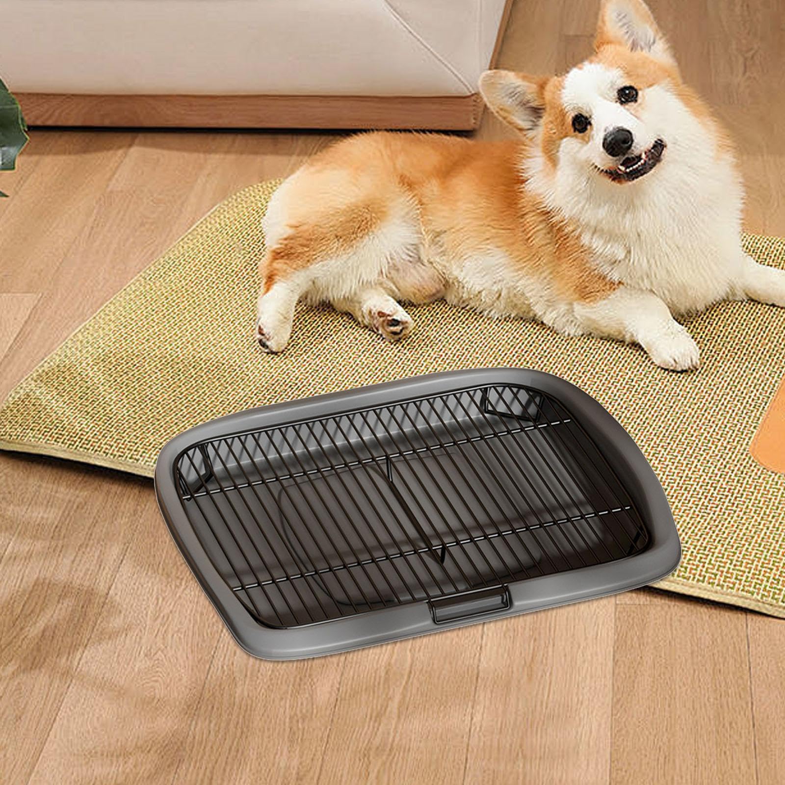 Bandeja de Arena para Perros portátil, Ligera, fácil de, Gris, SG | rejilla extraíble, ideal para interiores y exteriores. Limpiador de bandejas de arena para perros pequeños y medianos.