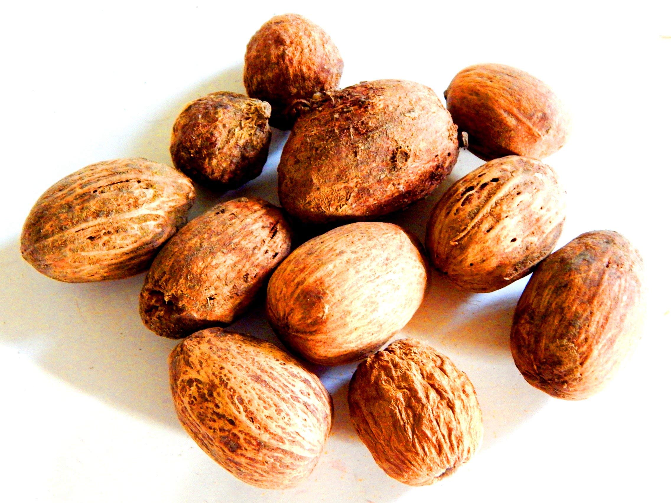 XUETZALCOATL Maindfal Spondias Dulci Dry Herb Ambarella 200g