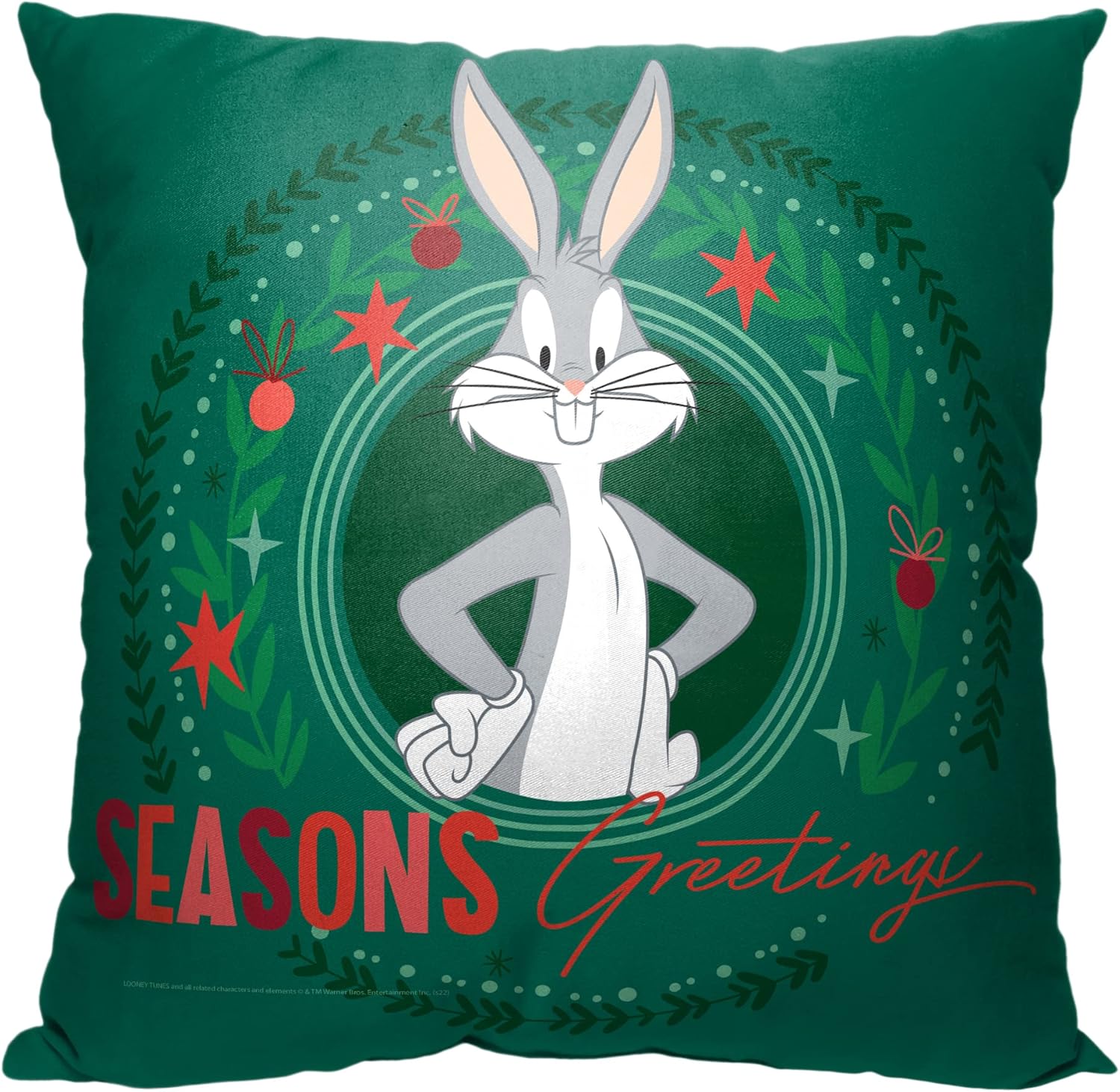 Northwest Looney Tunes Pillow, 18" x 18", Outta This World