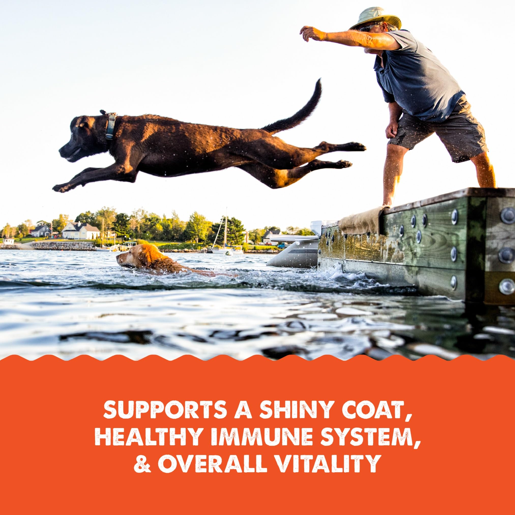 Grizzly Pet Products Salmon Plus Omega 3-6-9 Food Supplement for Dogs and Cats, 32 Ounce — Amazon image 6