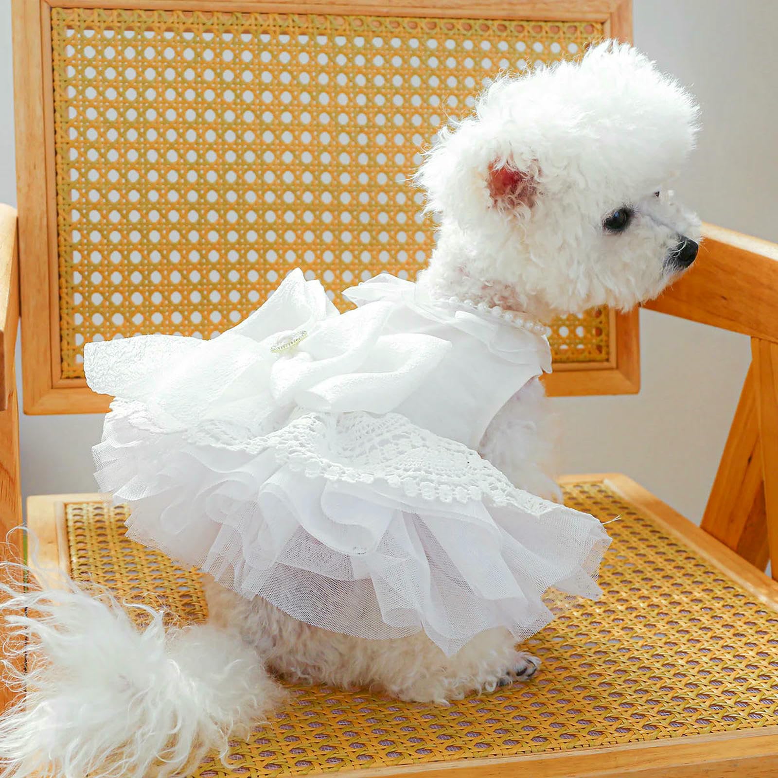 Vestiti per Cani Cane in Pizzo di Lusso da Cane Sposa Costume Morbido Comodo Abito da Matrimonio per Cani da Sposa Abbigliamento per Animali-Bianco-XL