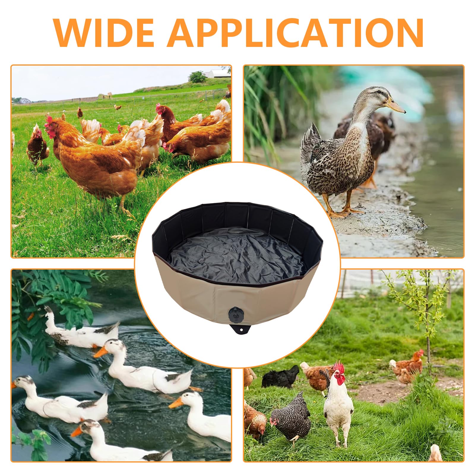 Pollo Baño de Arena Bañera Plegable para Gallinas, Recipiente de Limpieza PVC Portátil