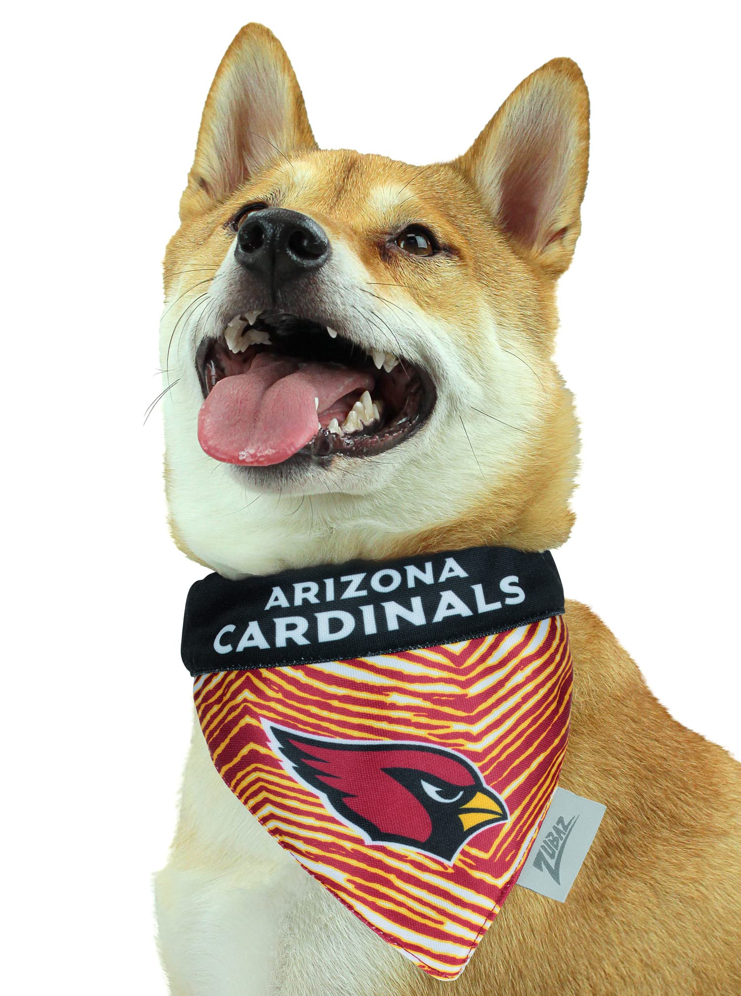 Amazon.com : Zubaz NFL Team Reversible Pet Bandana for Dogs & Cats