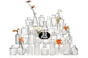 Arme Mini Glass Test Tube Vases for Bud Flowers and Rustic Home Decor