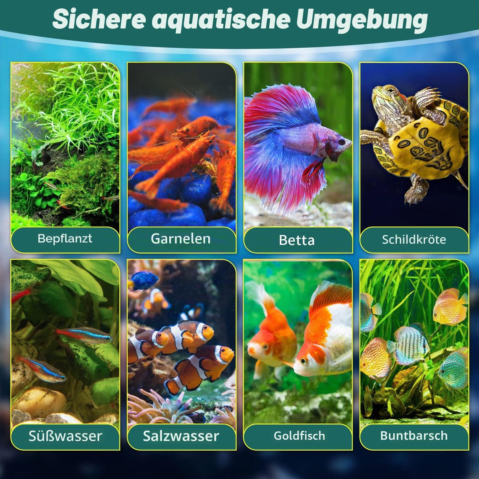 Kampffisch Aquarium Klein Komplettset, 10 L Aquarium Set Komplett mit LED- Beleuchtung, Filter, Heizung, Dekorationen und Zubehör – ideal für Hydrokultur-Anbausystem und Aquaponik