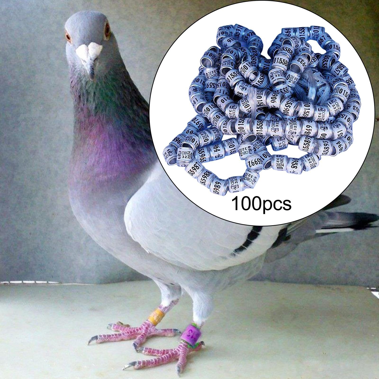 鳩ページ10/3まで Amazon | JISADER 100個 アルミ鳩足バンド 鳩足リング 2024 耐久性の