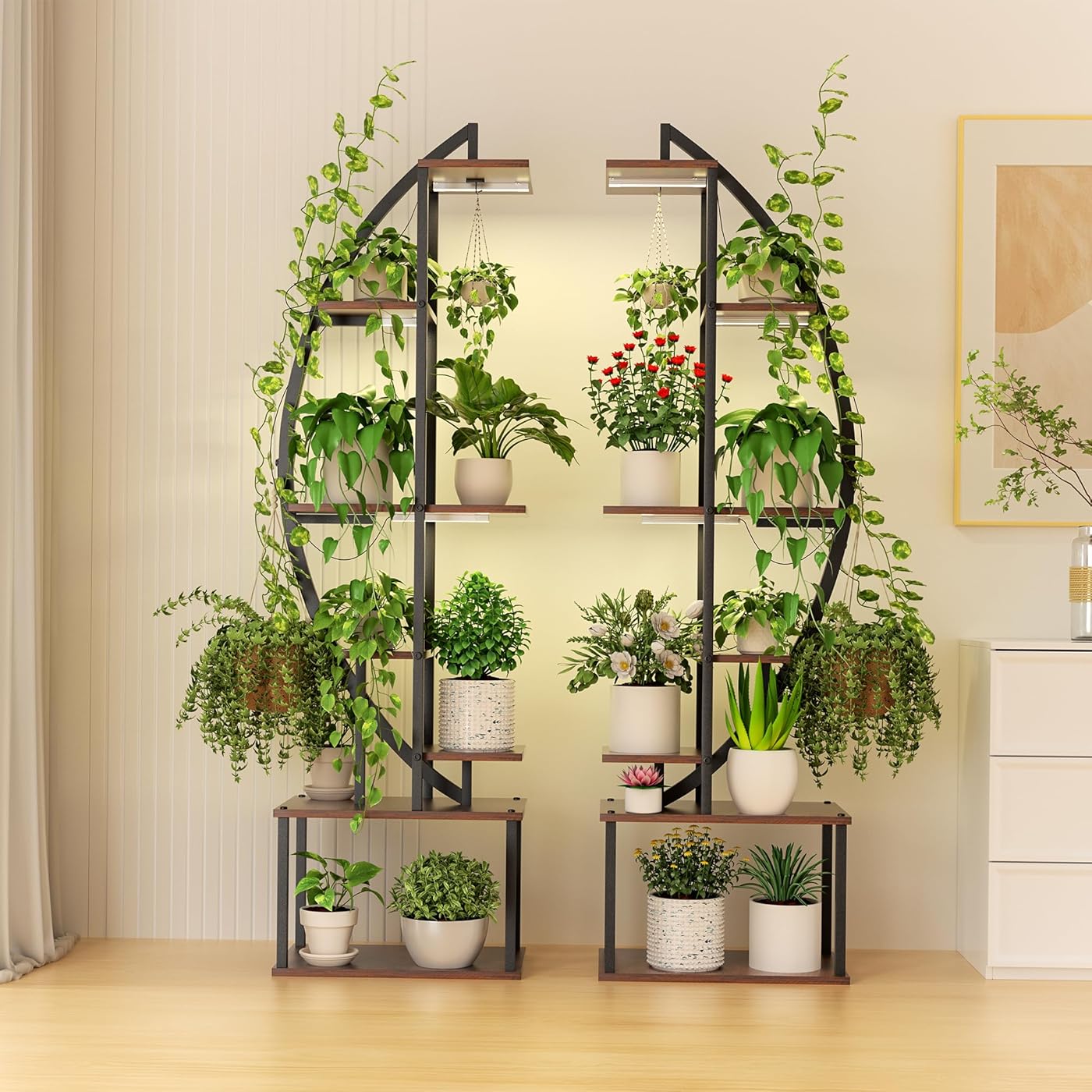 Gallery image 1