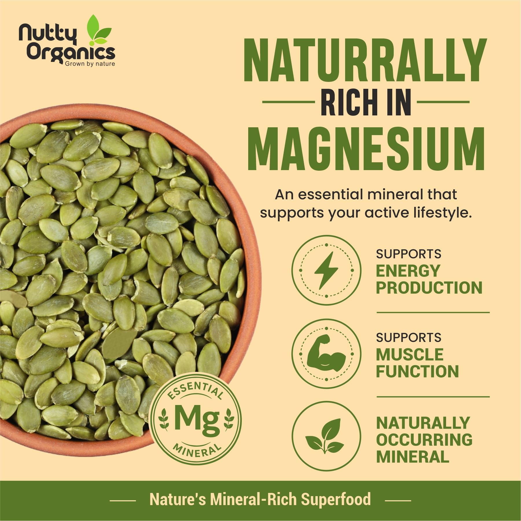 NUTTY ORGANICS Natural Pumpkin Seeds 200GM | Raw Pumpkin Seeds for Eating- Immunity Booster and Protein Rich Seeds | Healthy Diet Snacks | Weight Management 2