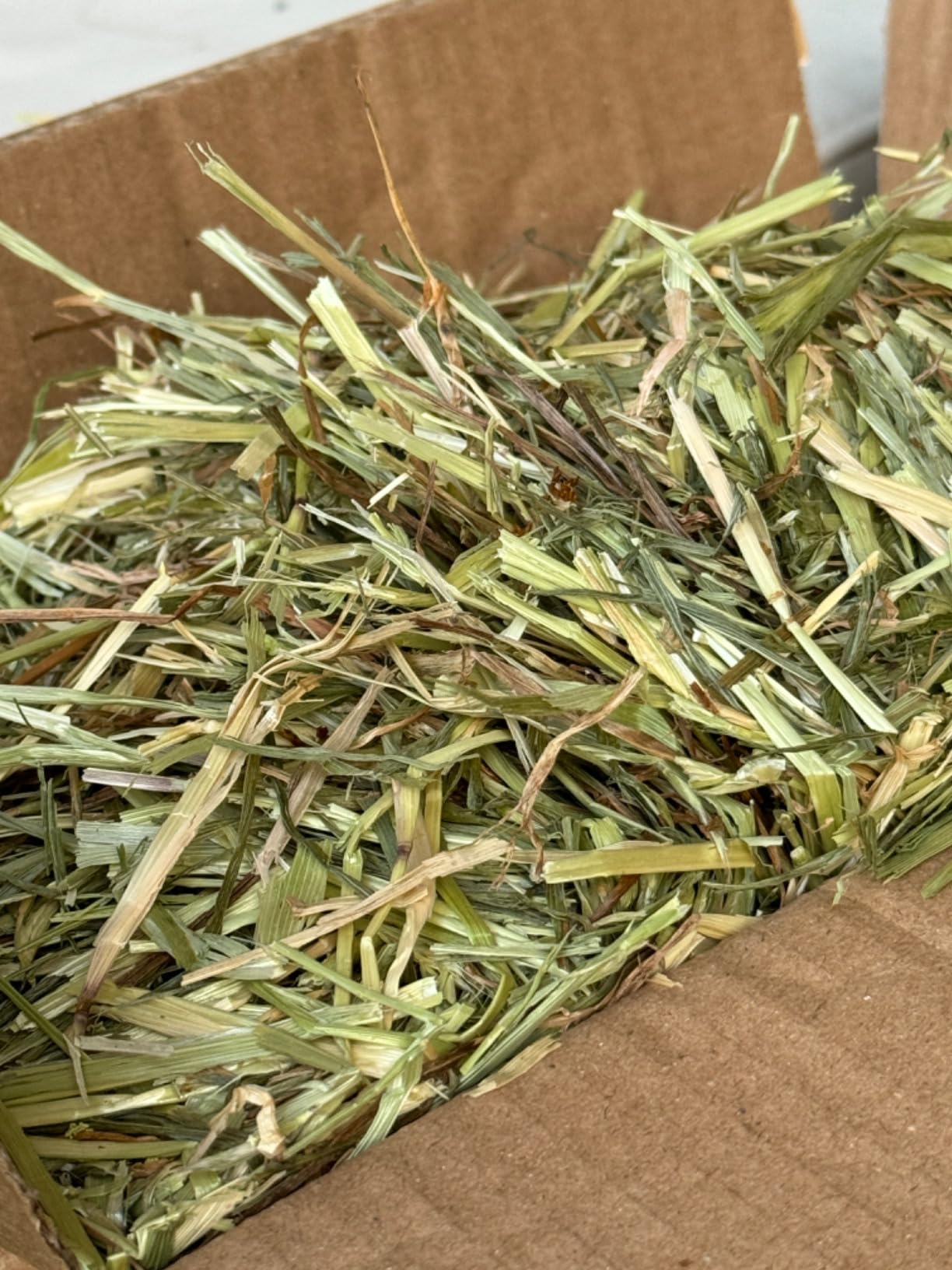 Thumbnail for Timothy Hay Alternatives For Baled Hay