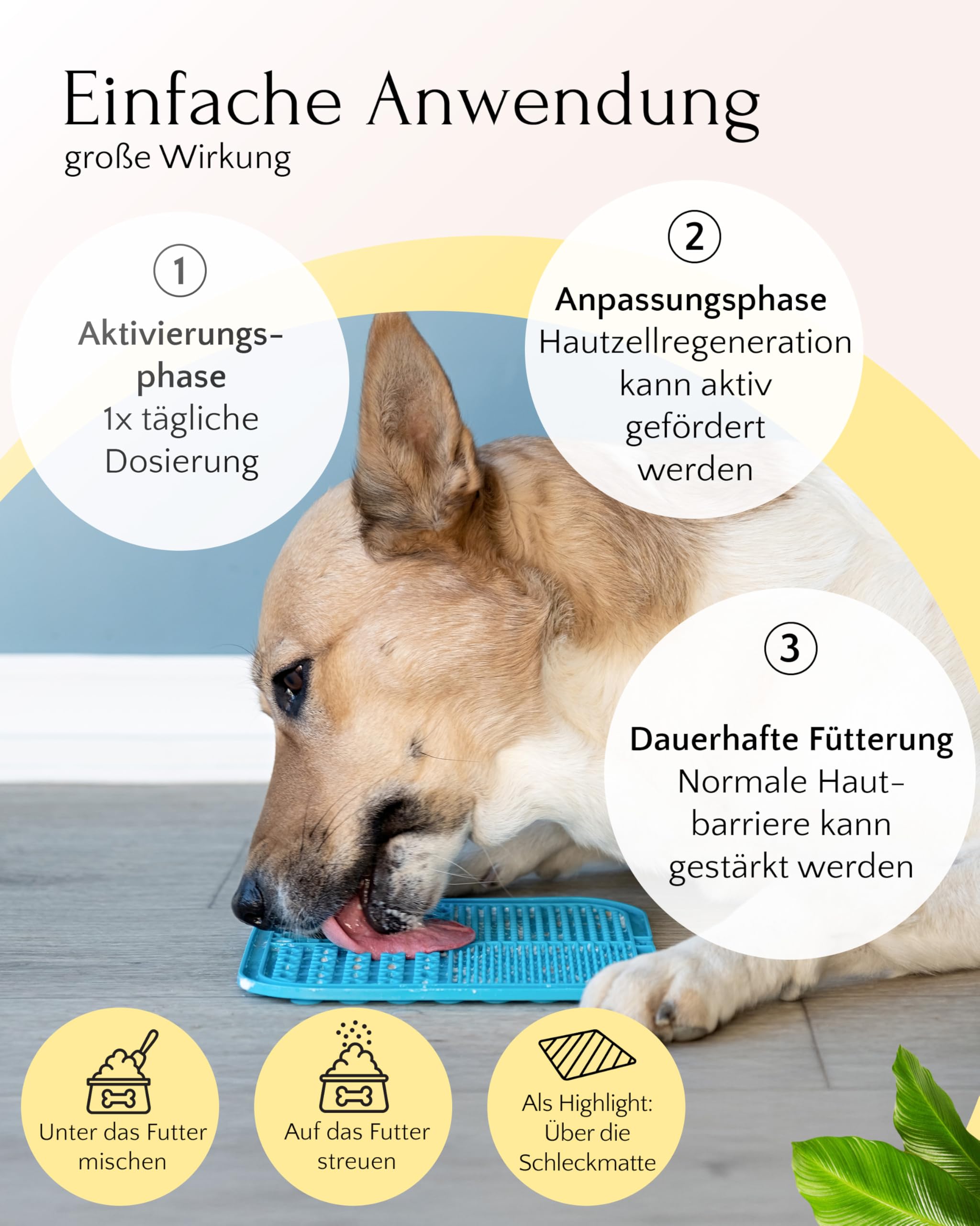 FAVLY – HEPASKIN Fellpflege Pulver 3x250g für Hunde & Katzen – Ergänzungsfuttermittel Topping mit Mariendistel, Omega-3 & Spirulina – bei Juckreiz, Schuppen & stumpfem Fell – Ohne Getreide & Zusätze