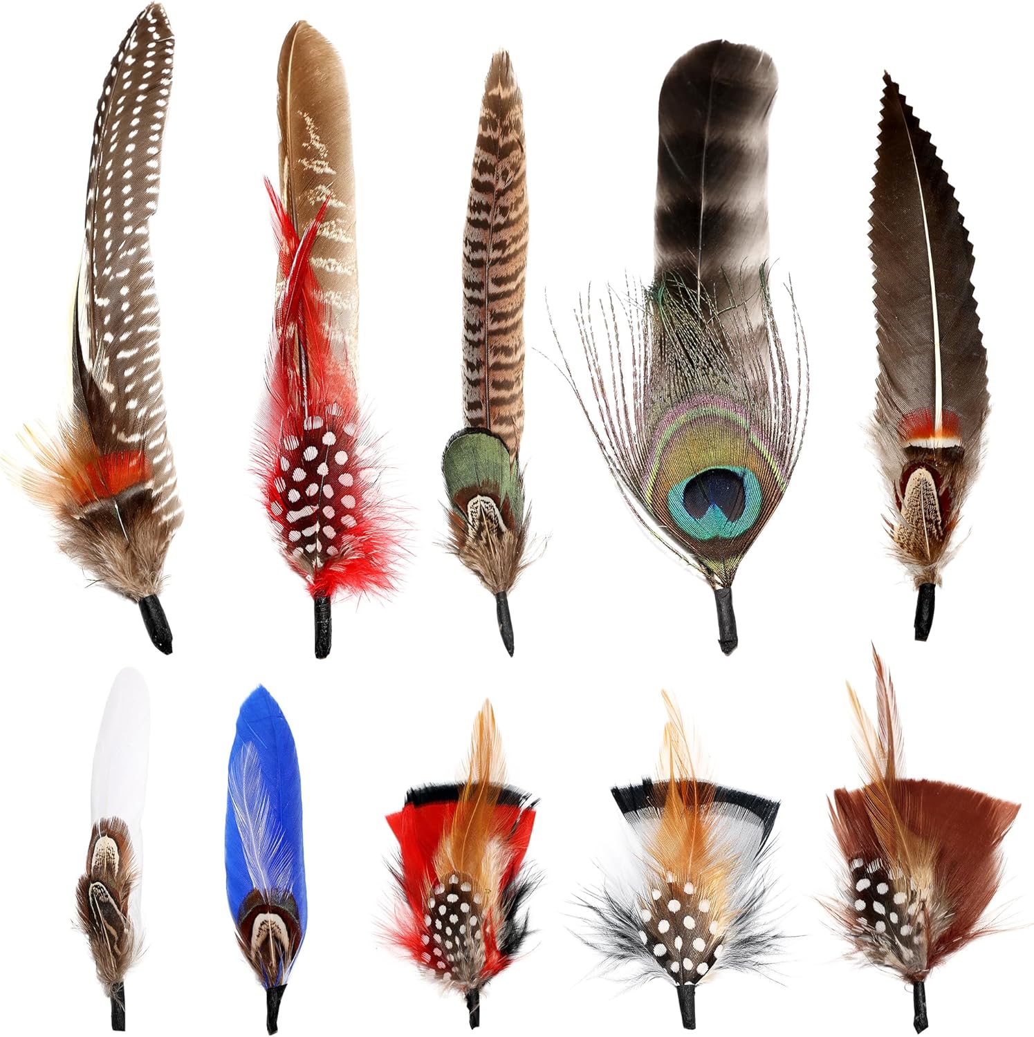 SendyFeather Hat Feathers 10 Styles Natural Assorted Feathers for Fedora Hats