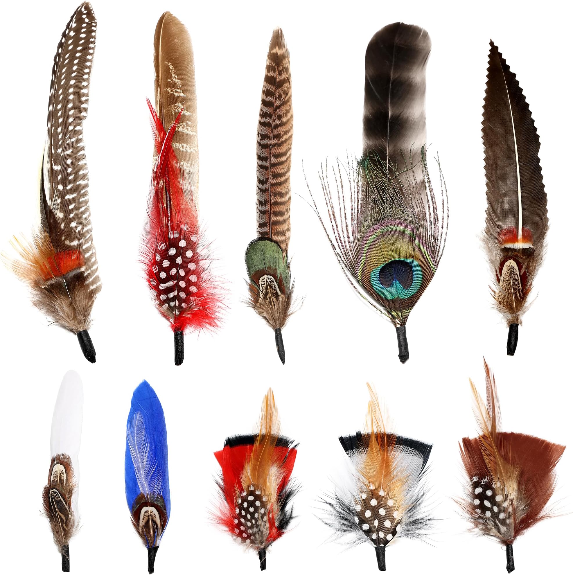 SendyFeather Hat Feathers 10 Styles Natural Assorted Feathers for Fedora Hats Accessories DIY Craft,Western Cowboy Hats,Christmas Party Hats,Oktoberfest Hats