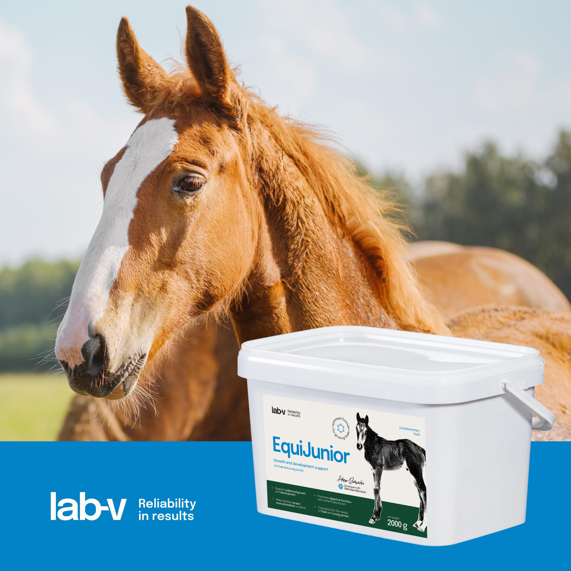 Lab-v EquiJunior 2 kg – Complemento alimenticio para potros y caballos jóvenes – Mezcla de vitaminas y minerales para la alimentación diaria