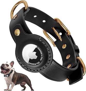 AirTag Dog Collar - 100% Genuine Leather Dog Collar with Apple AirTag Holder, Suitable for Medium Dogs, Black, M, Adjustable Size 14.2-19.7 Inch