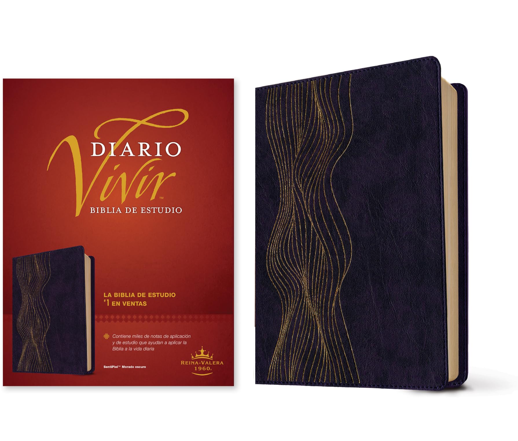 Biblia de Estudio del Diario Vivir Rvr60 (Sentipiel, Morado Oscuro, Letra Roja): Biblia de estudio del diario vivir Rvr60, morado oscuro, letra roja, ... y mapas, concordancia, With Ribbon Marker