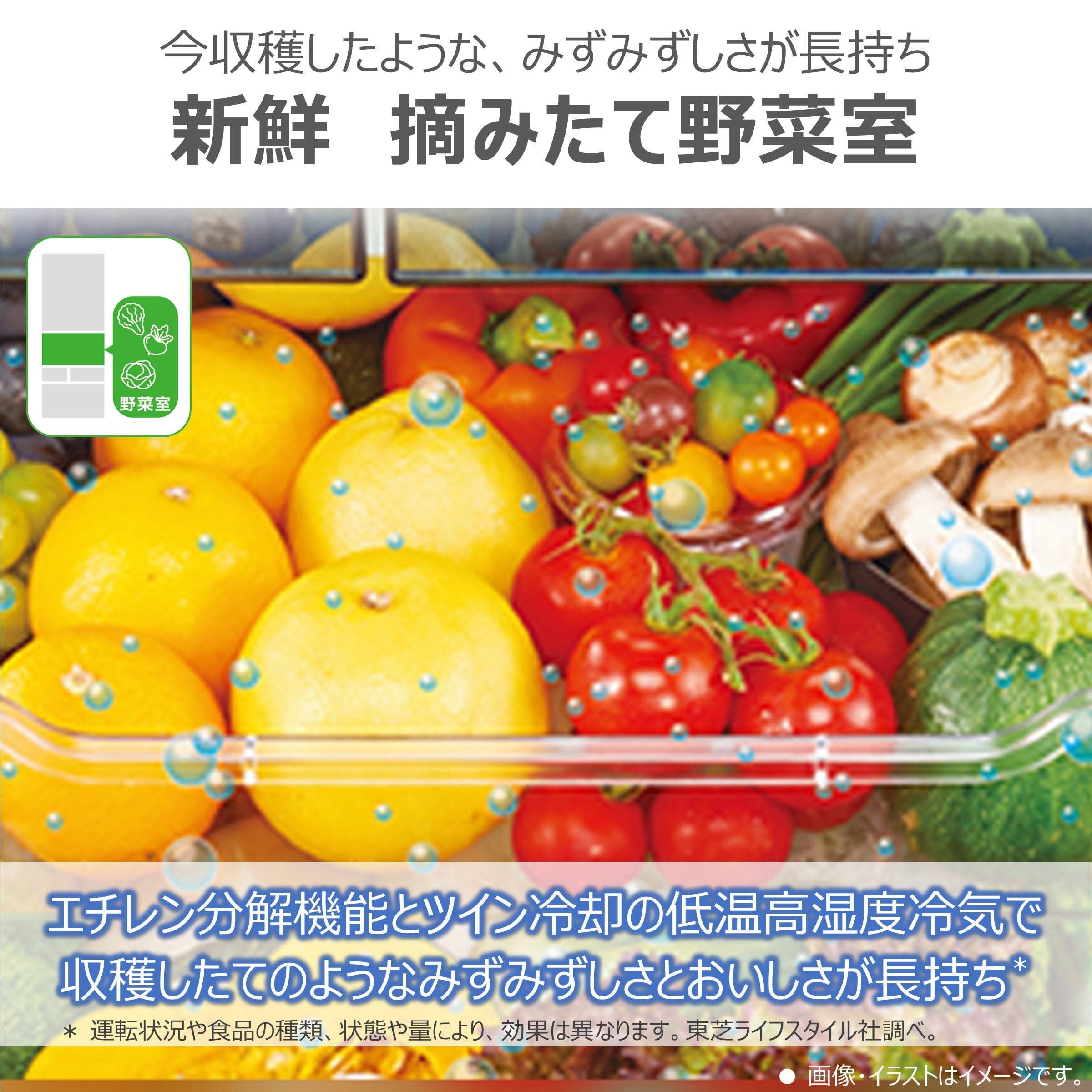 Amazon | TOSHIBA(東芝) 冷蔵庫 幅65.0㎝ 462L フレンチドア GR-Y460FH