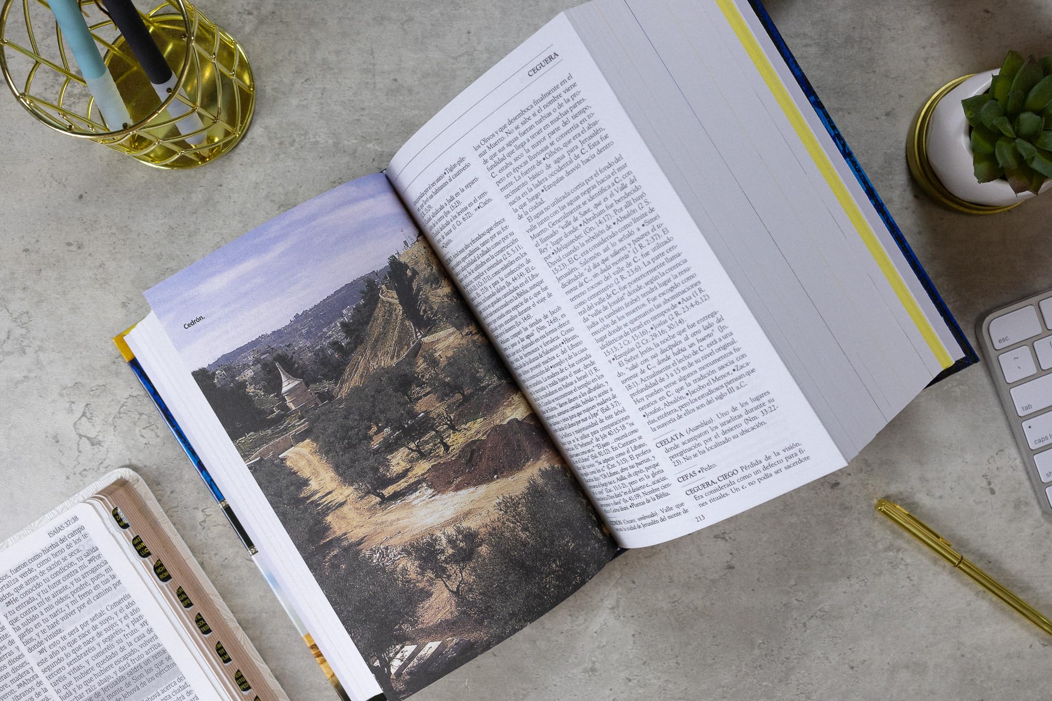Nuevo Diccionario de La Biblia = New Bible Dictionary: Una Obra de Consulta Que Aportara Desde La a Hasta La Z, Informacion Valiosa.