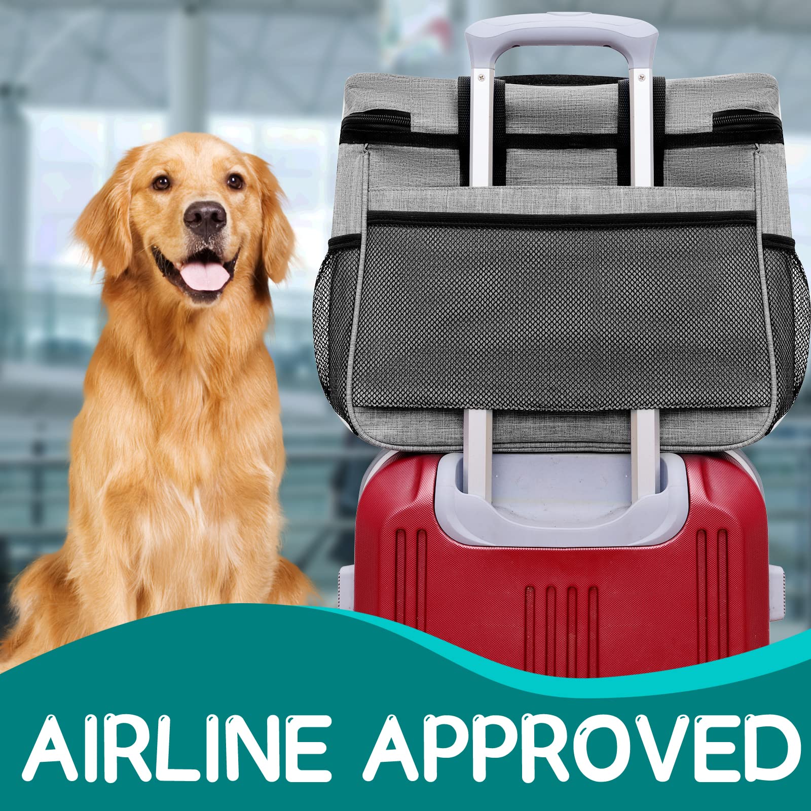 Hund Reisetasche Großes Haustier Reiseset für Lieferungen Beinhaltet 2 zusammenklappbare Hundeschalen 2 TravelFood Container Hund Reiseset für EIN Wochenende Weg Set