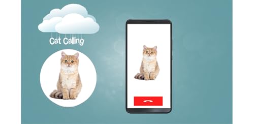 Tiny Cat Video Calling - Free Fake Phone Prank