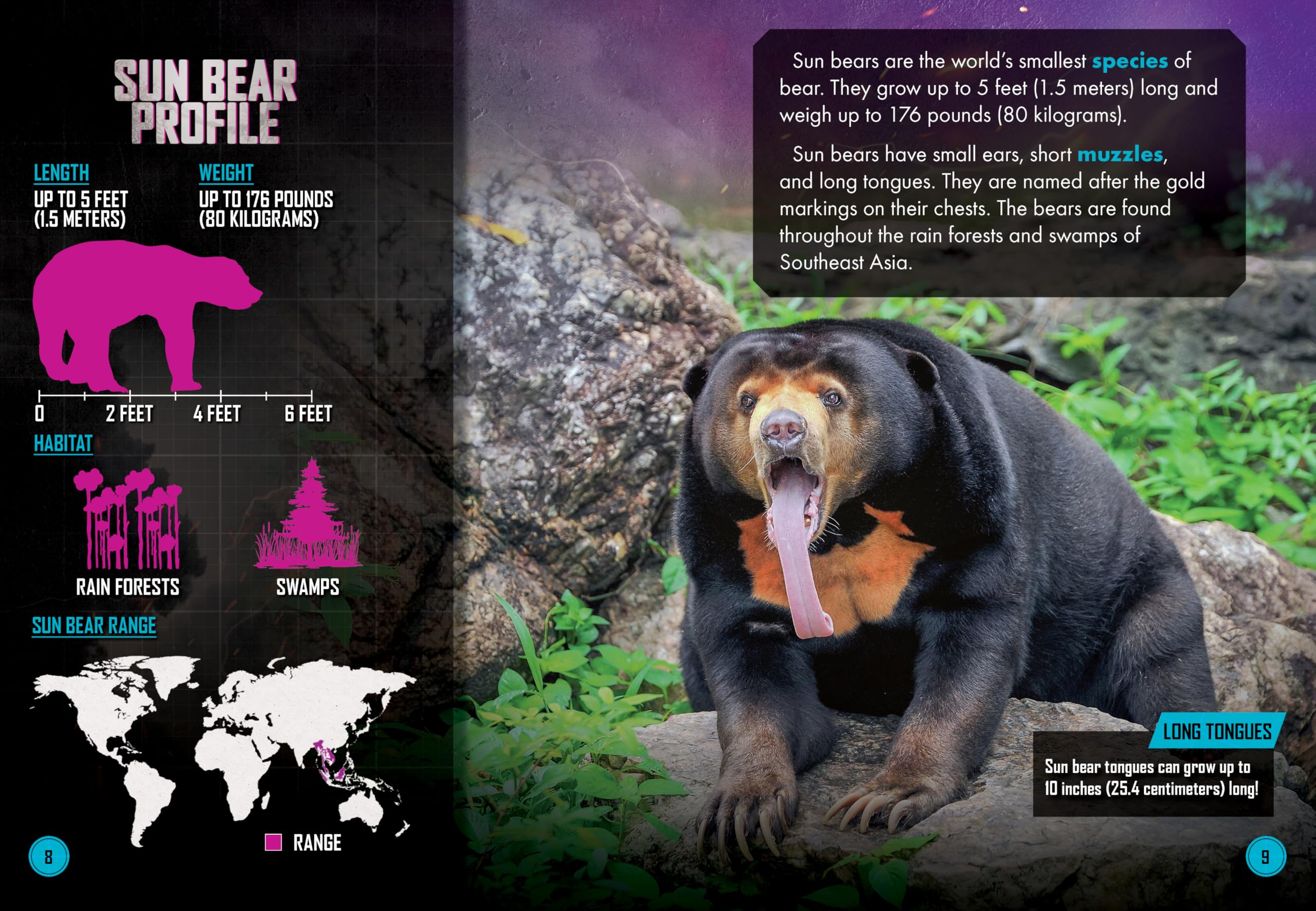 Burmese Python Vs. Sun Bear