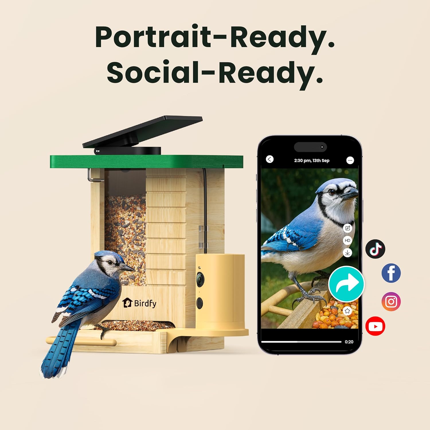 Birdfy Smart Bird Feeder with Camera Solar Powered, Slow-Motion Video & Night Insight, AI Identify 6000+ Species Lifetime Free, Ideal for Outdoors Bird Watching & Gifts for BirdLovers, Wood - Image 7