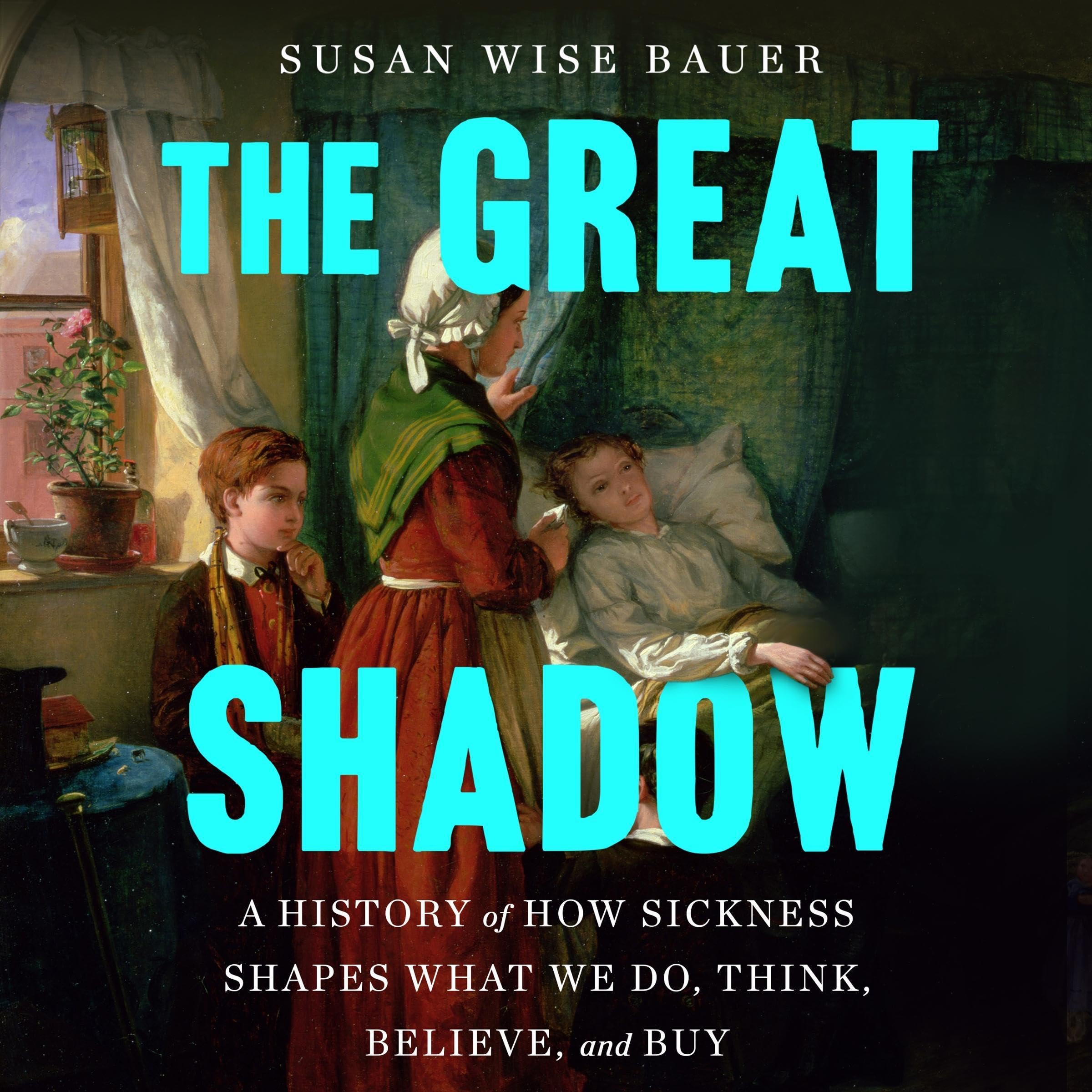 Cover art for The Great Shadow