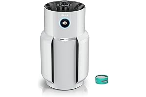 NeverChange Whole Home Air Purifier: The 5-Year HEPA Filtration Solution for Your Home