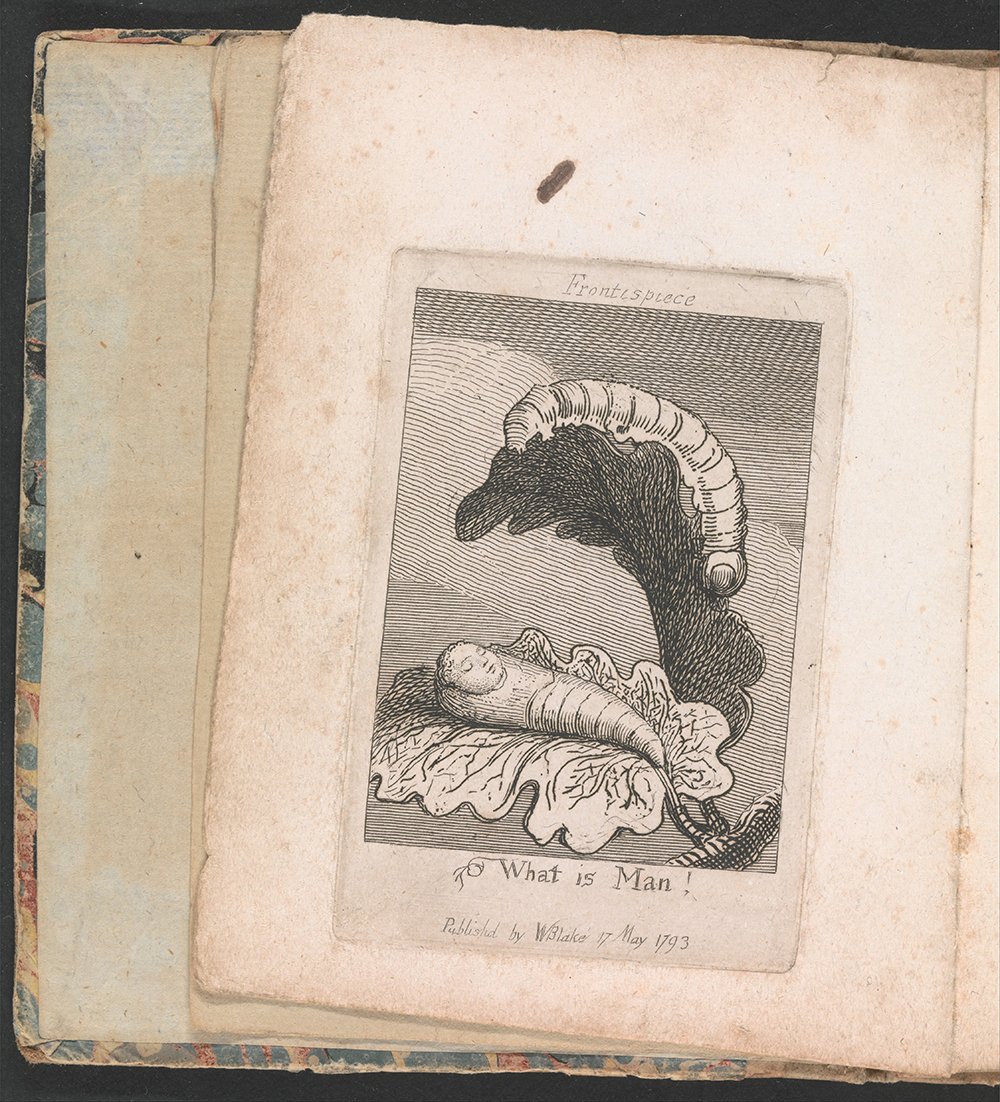 Tableau William Blake The Gates of Paradise cadre marron en impression dart de taille medium