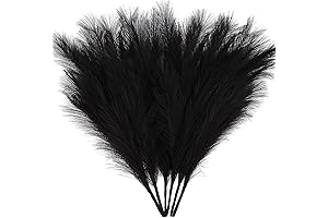 ZIFTY Pampas Grass: Black Enchantment for Gothic Decor