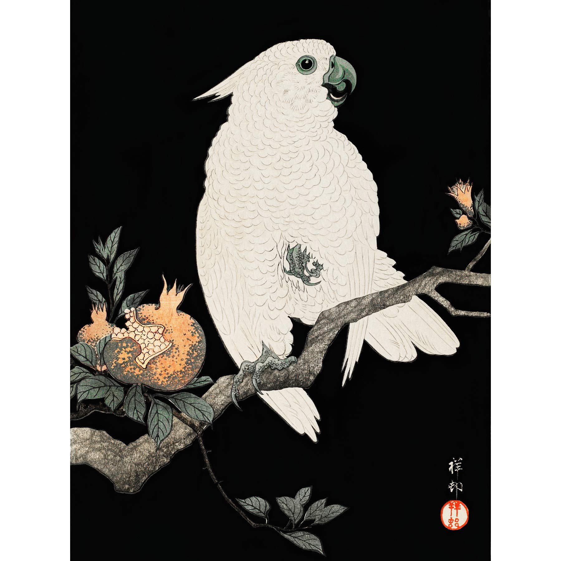 Wee Blue Coo Cockatoo Pomegranate Ohara Koson Art Print Poster Wall Decor