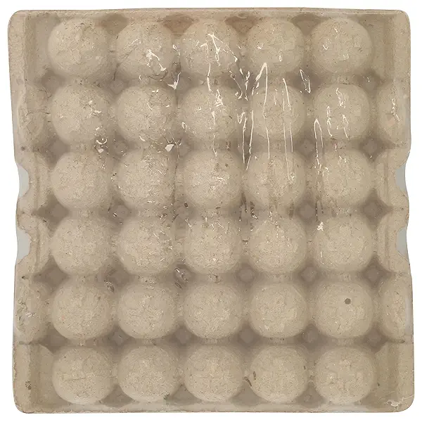 365 by Whole Foods Market Medium Brown Grade A Eggs 30 Count, 30 CT 3