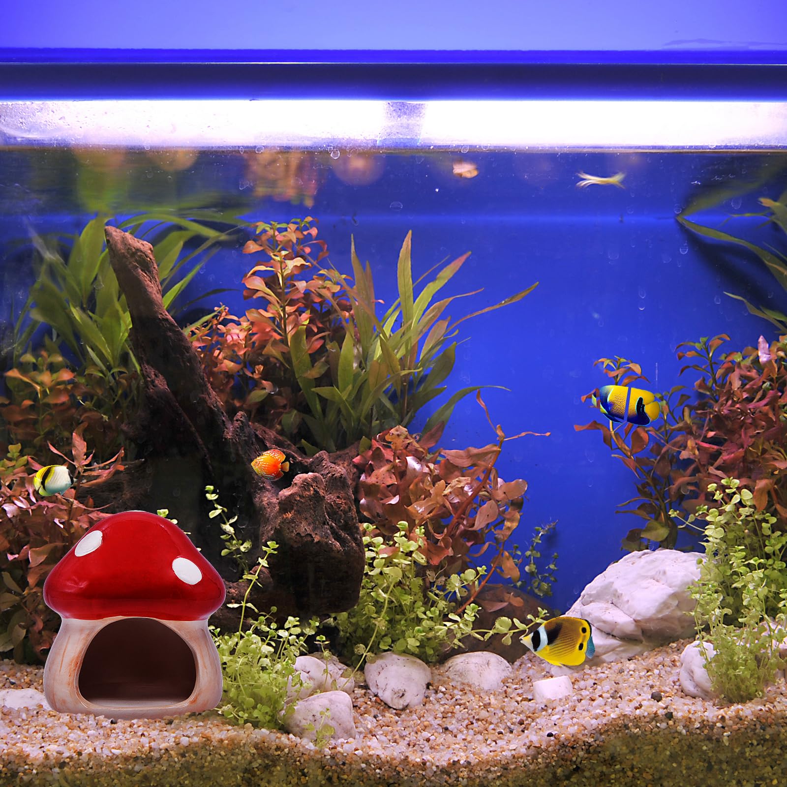 Uotyle Ceramic Fish Tank Accessories Cute Mushroom House Aquarium Decoration Hideout Cave Decoration for Small Fish Shrimp (Red) - Image 4