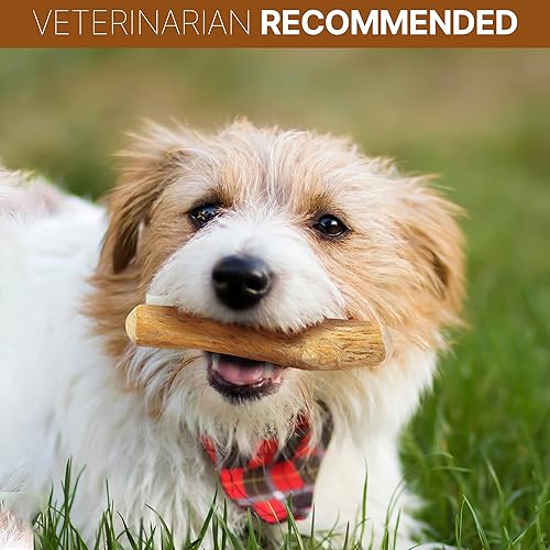 Miniatura 7 de SPOT by Ethical Products - Juguete masticable de madera de café para perros, 100% natural de origen sostenible, juguete duradero hecho a mano para